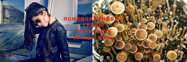 СК Аркадак