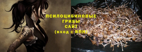 СК Аркадак