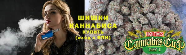 СК Аркадак