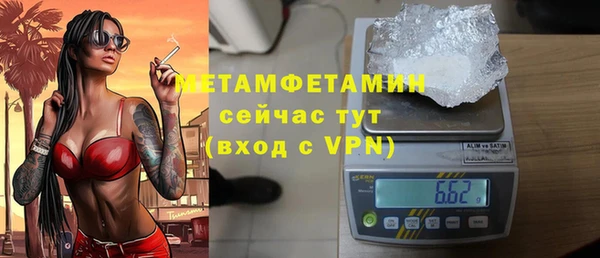 шишки Няндома