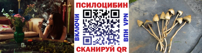 купить  сайты  shop как зайти  OMG tor  Галлюциногенные грибы мухоморы  Нижняя Салда 