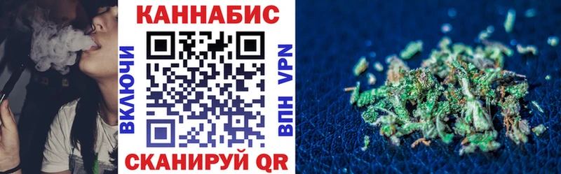 цена   Нижняя Салда  Каннабис планчик 